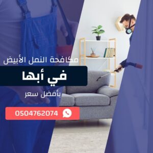 مكافحة النمل الأبيض في أبها