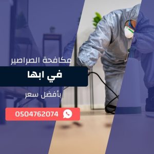 مكافحة صراصير ابها